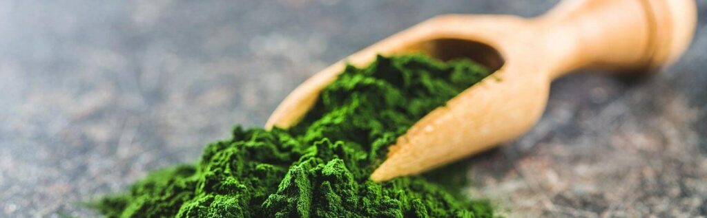 chlorella