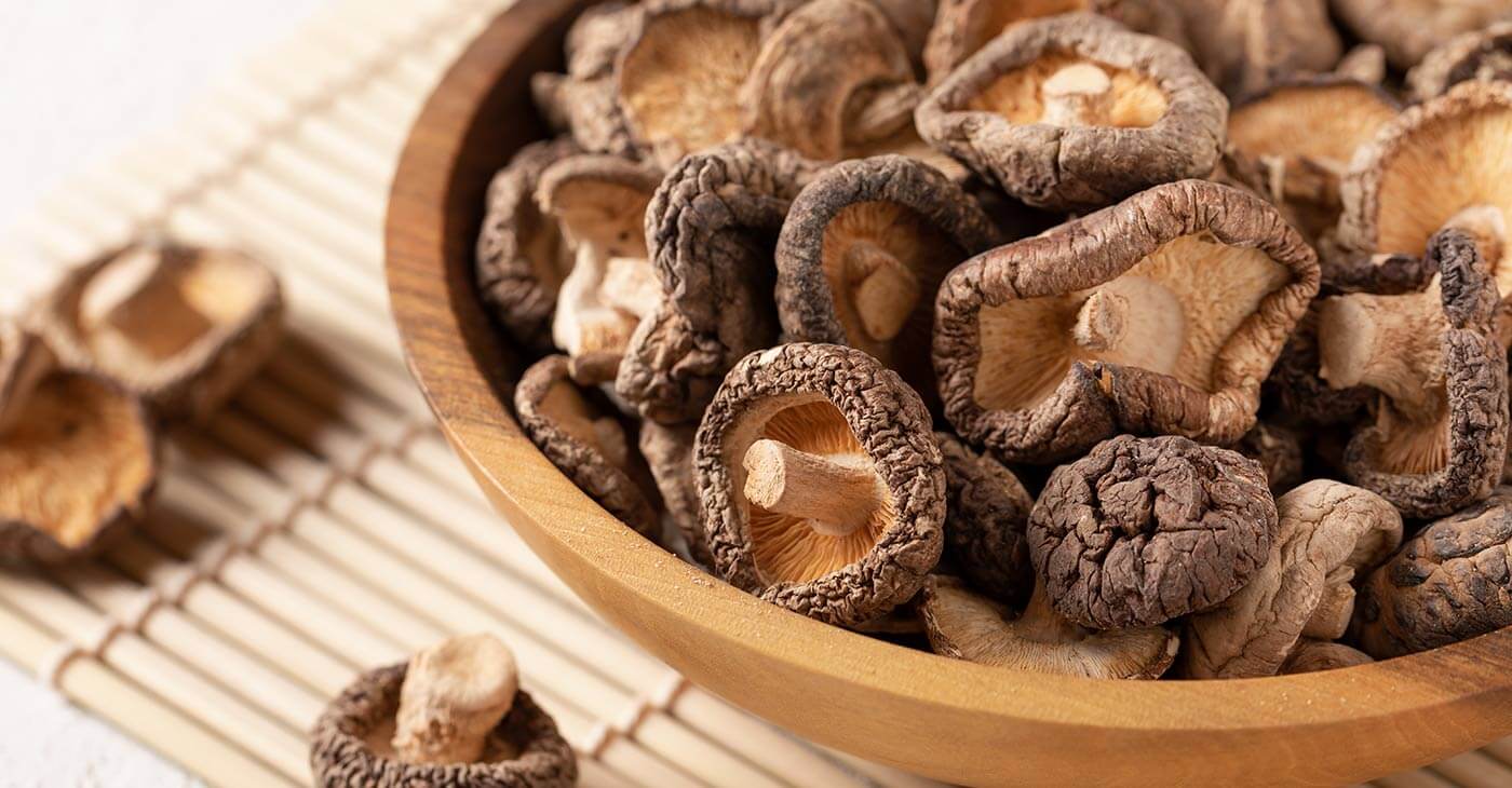 Grzyby shiitake Właściwości Działanie Przeciwwskazania Zielares