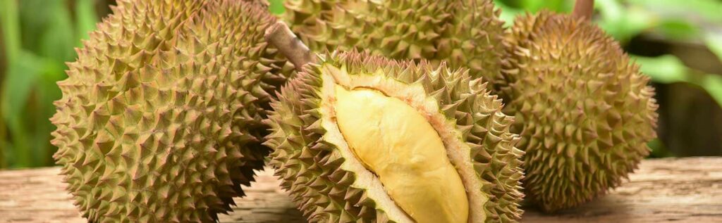 durian