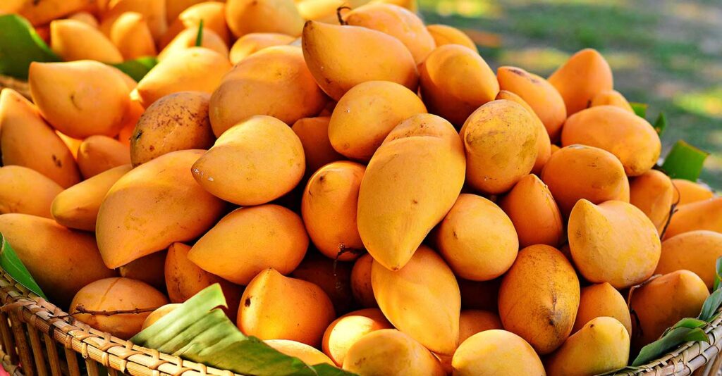 mango afrykańskie
