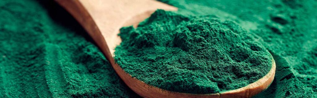 spirulina